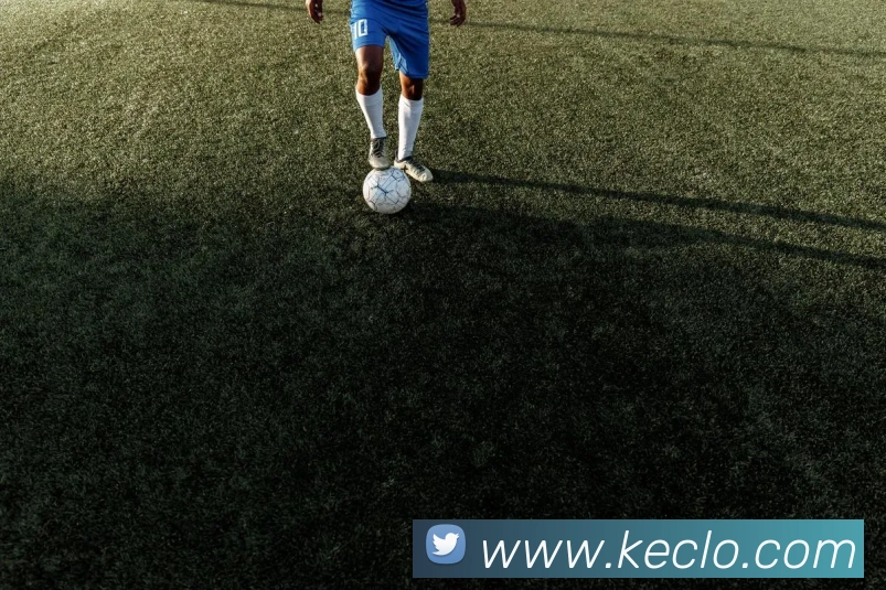 米兰平台生态图