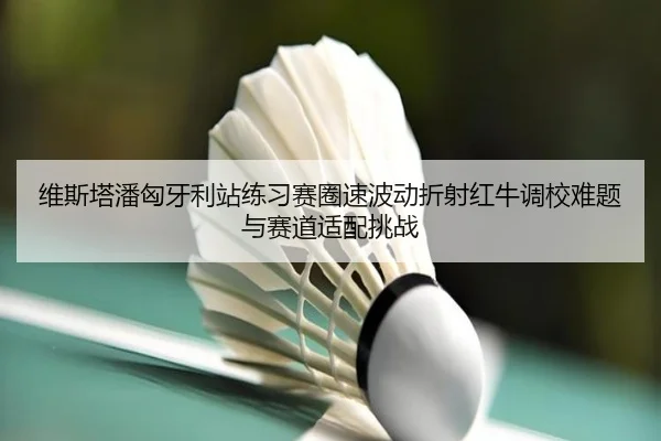 维斯塔潘匈牙利站练习赛圈速波动折射红牛调校难题与赛道适配挑战